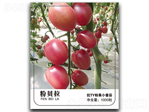 ��ؐ��-���ѷN��