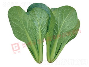 �n�G-��˷N��-�¸�