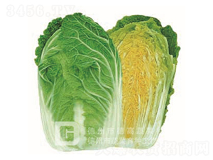 �S�İײ�-�S��-��ײ˷N��-�¸�