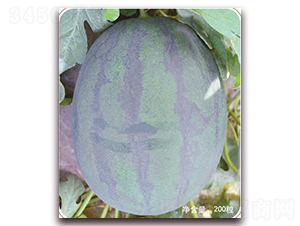 ��������-���ϷN��-���S�N�I(y��)