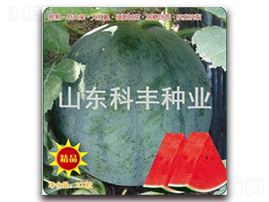 ɽ����1852-���ϷN��-���S�N�I(y��)