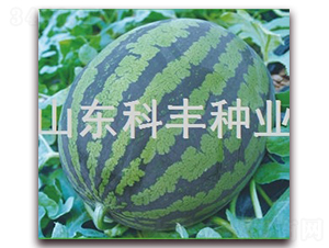 ����һ̖-���ϷN��-���S�N�I(y��)