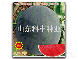 ī��-���ϷN��-���S�N�I(y��)