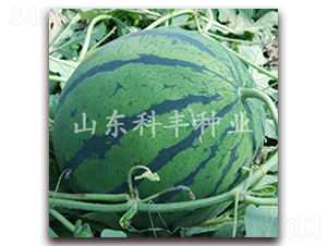 �OƷ����-���ϷN��-���S�N�I(y��)