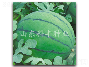 ɽ������-���ϷN��-���S�N�I(y��)