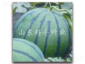 ɽ������-���ϷN��-���S�N�I(y��)