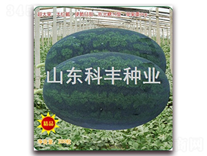 �ش���F��-���ϷN��-���S�N�I(y��)