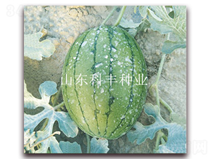 �ᭇ160-���ϷN��-���S�N�I(y��)