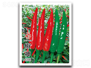 ����C08-�����N��-�Έ@����