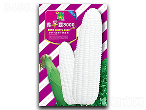 ����Ŵ3000-���׷N��-�Έ@����