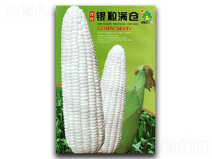 �����y���M-���׷N��-�Έ@����