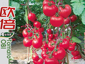 �W��-���ѷN��-�Έ@����