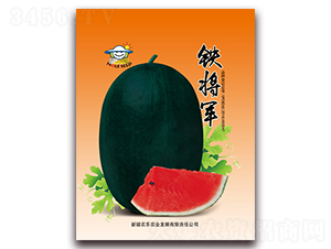 �F��܊-���ϷN��-�r(n��ng)���r(n��ng)�I(y��)