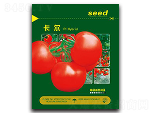 ����-���ѷN��-�Έ@����