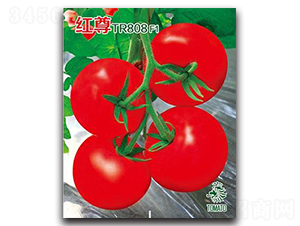 �t��TR808-���ѷN��-�Έ@����