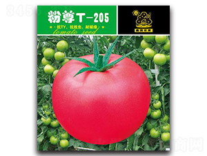 ����T-205-���ѷN��-�Έ@����