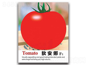 �Ұ���-���ѷN��-�Έ@����