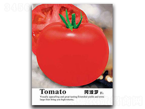 �����_-���ѷN��-�Έ@����