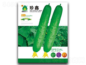 ����-�S�ϷN��-�Έ@����