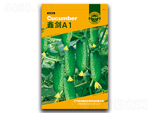 �΄�A1-�S�ϷN��-�Έ@����