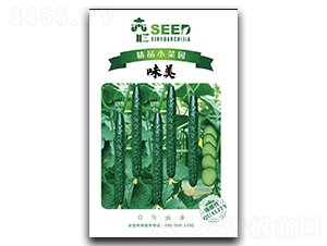 ζ��-�S�ϷN��-�Έ@����