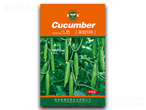 ʥ��588-�S�ϷN��-�Έ@����