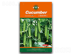 ʥ��188-�S�ϷN��-�Έ@����