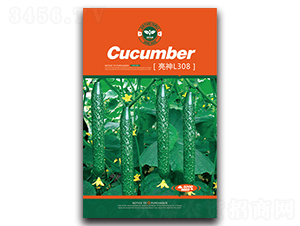 ����L308-�S�ϷN��-�Έ@����