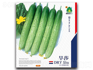 ��ɯ-�S�ϷN��-�Έ@����