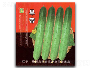 ����-�S�ϷN��-�Έ@����