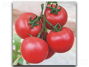 ����148-���ѷN��