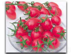 ������ö�̖-���ѷN��