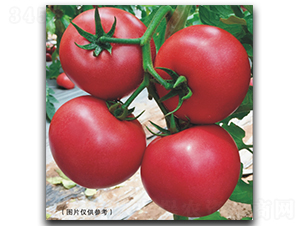 ����12-2-���ѷN��