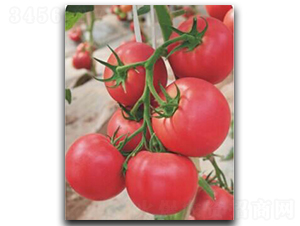 ����218-���ѷN��