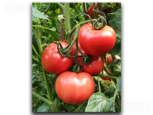 ����18-98-���ѷN��