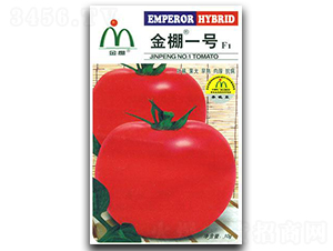 ����һ̖-���ѷN��