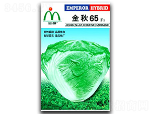 �������65��ײ�-�ײ˷N��