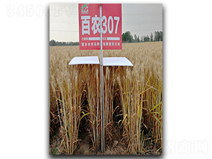 ���r307-С���N��