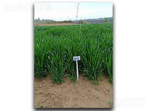 ����728-С���N��