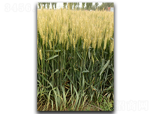 ����170-С���N��