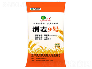 μ��9̖(h��o)-С���N��