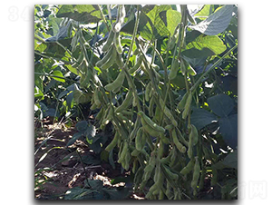 �F��77-ë���N��-ï�A�N�I(y��)