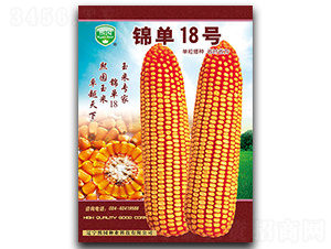 �\��18̖-���׷N��-���@�N�I(y��)