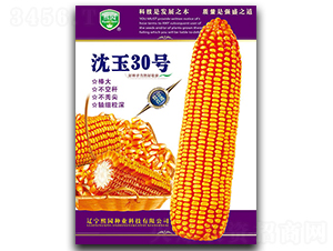 ����30̖-���׷N��-���@�N�I(y��)