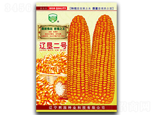 �|����̖-���׷N��-���@�N�I(y��)