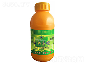 ������}-ɽ���¿�