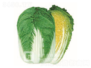 ����69-��ײ˷N��-�¸�