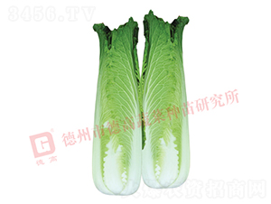 ��ѿ�B��-�B��18-��ײ˷N��-�¸�