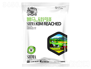 ���}�V-�{�R�ʘI(y��)