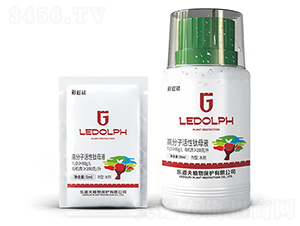 �߷��ӻ����ĸҺ-�ʺ��-������